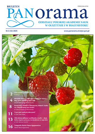 Panorama 32 web 1 small