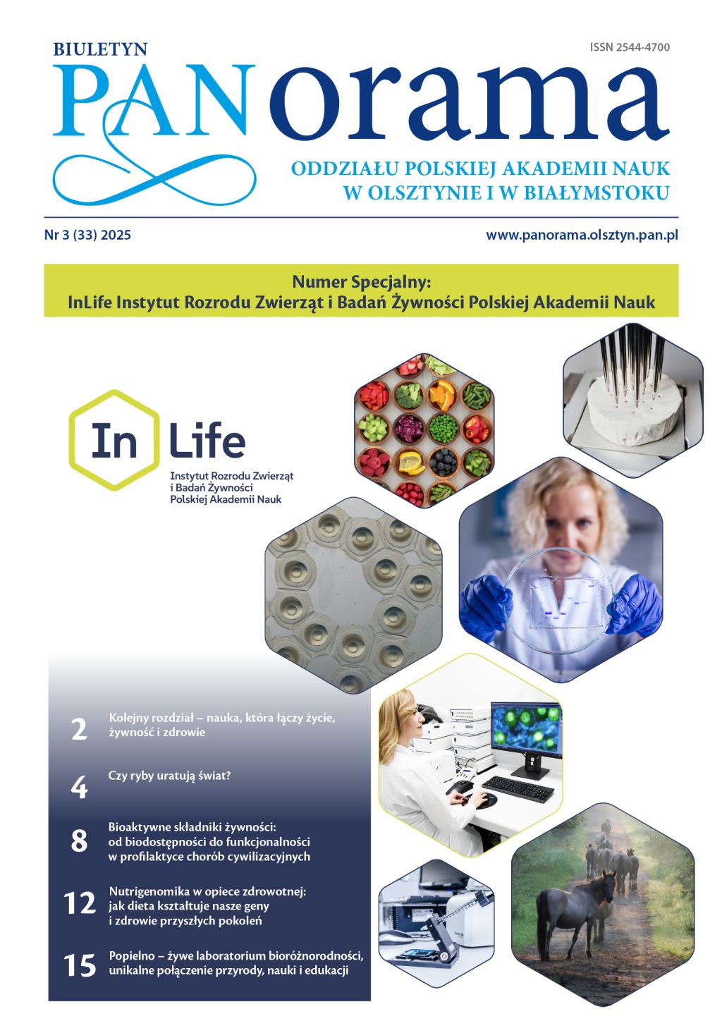 Panorama 33 okładka