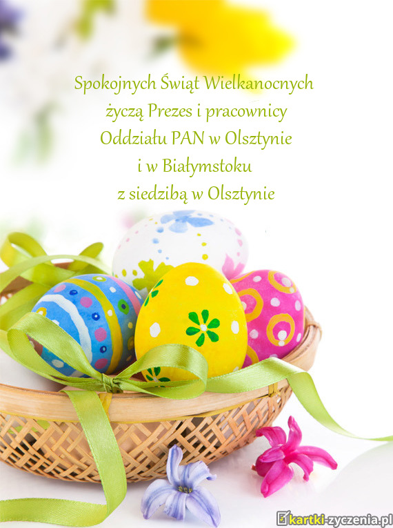 uycza prezes i pracownicy pobierz